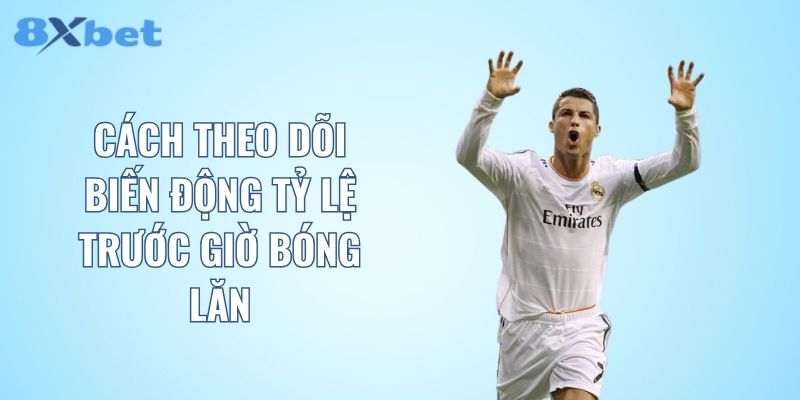 Cách theo dõi biến động tỷ lệ trước giờ bóng lăn